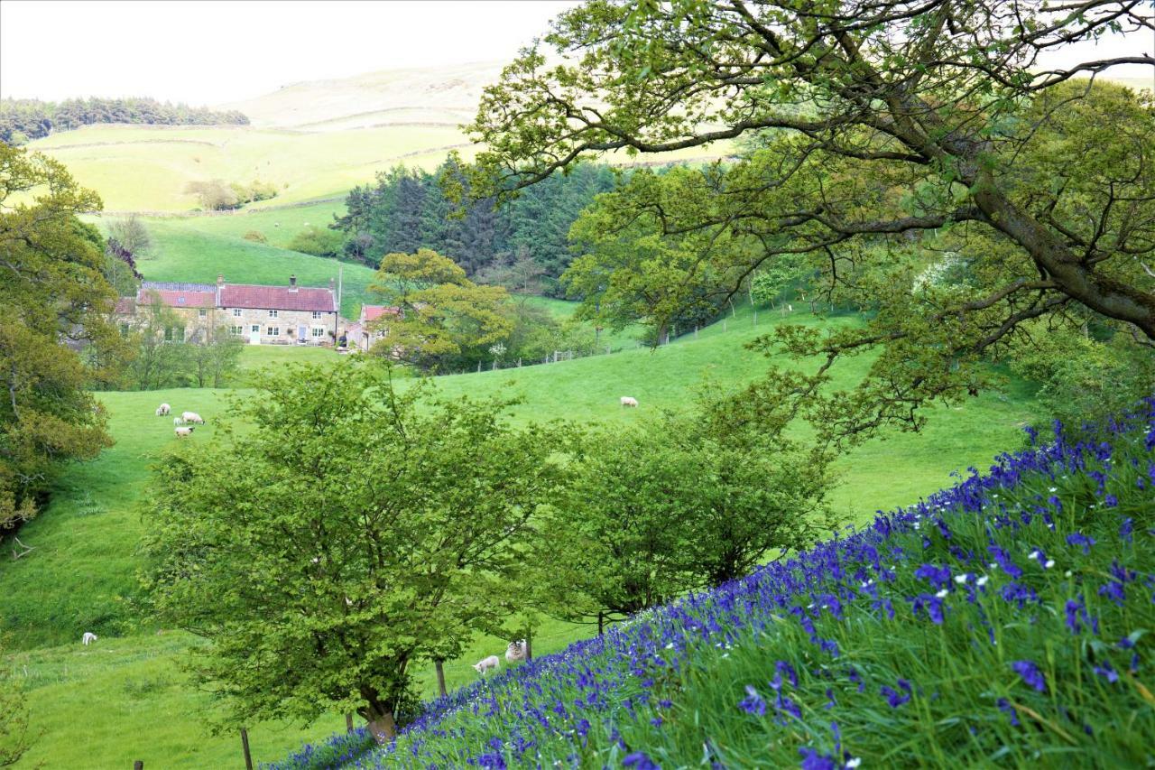 Bluebells Cottage Chop Gate 外观 照片