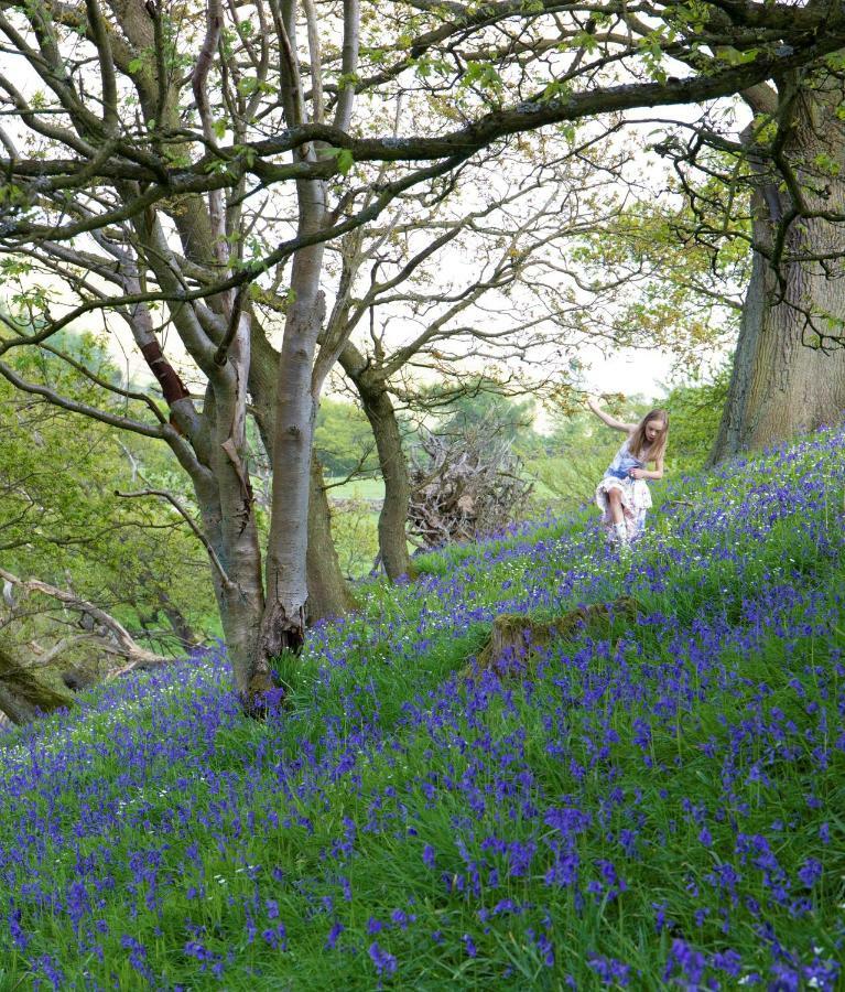Bluebells Cottage Chop Gate 外观 照片