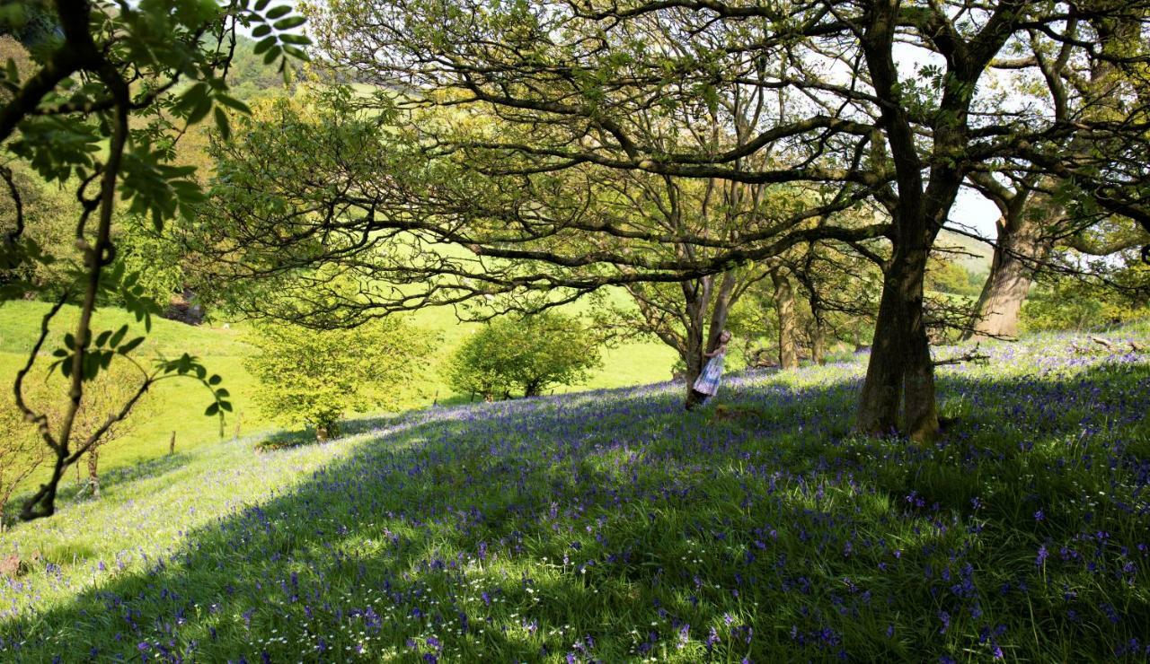 Bluebells Cottage Chop Gate 外观 照片